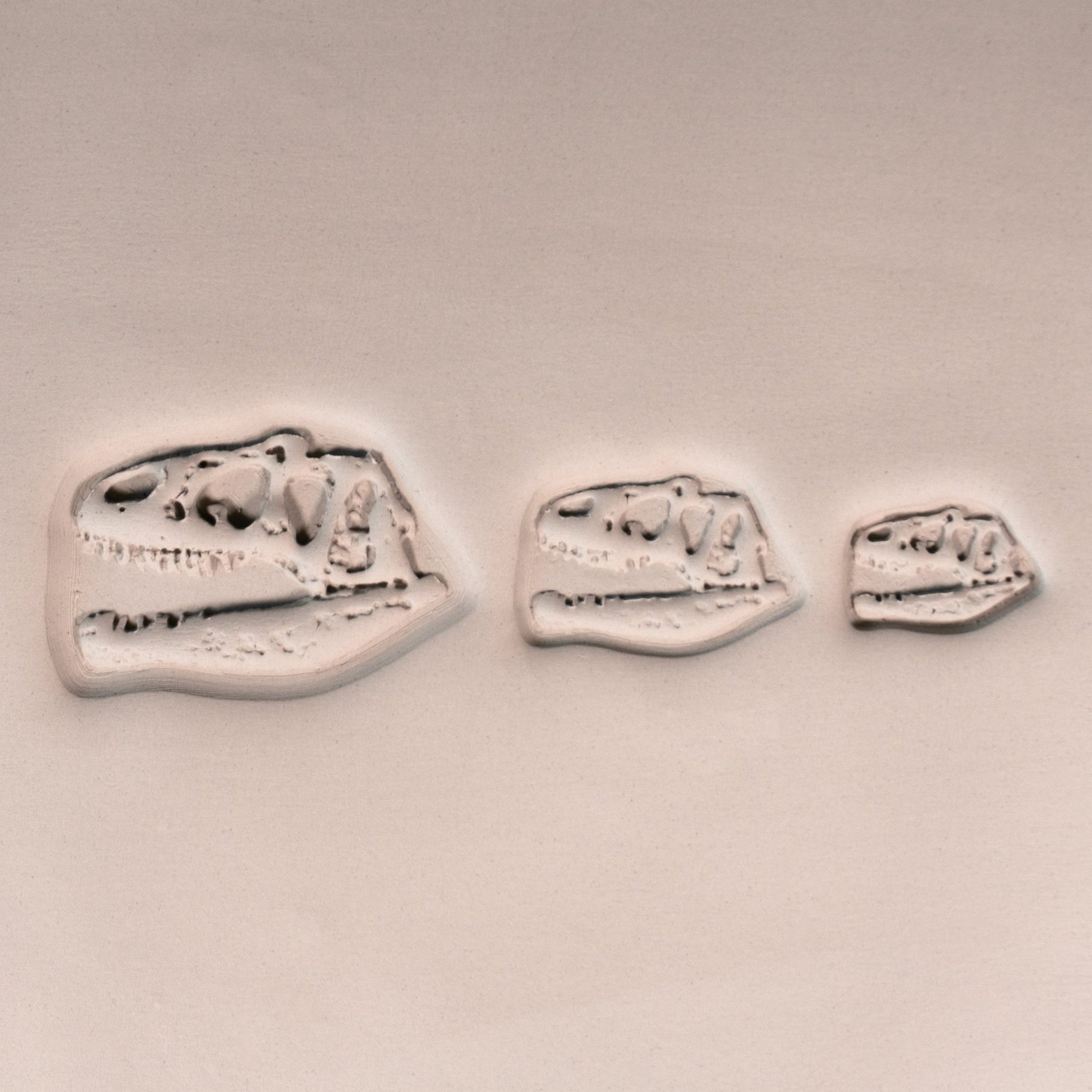 T - Rex Dinosaur Skull Fossil Stamp - Photo Textured - Style 1 - CraftSource Market: Craft Supplies & Kits Stamps