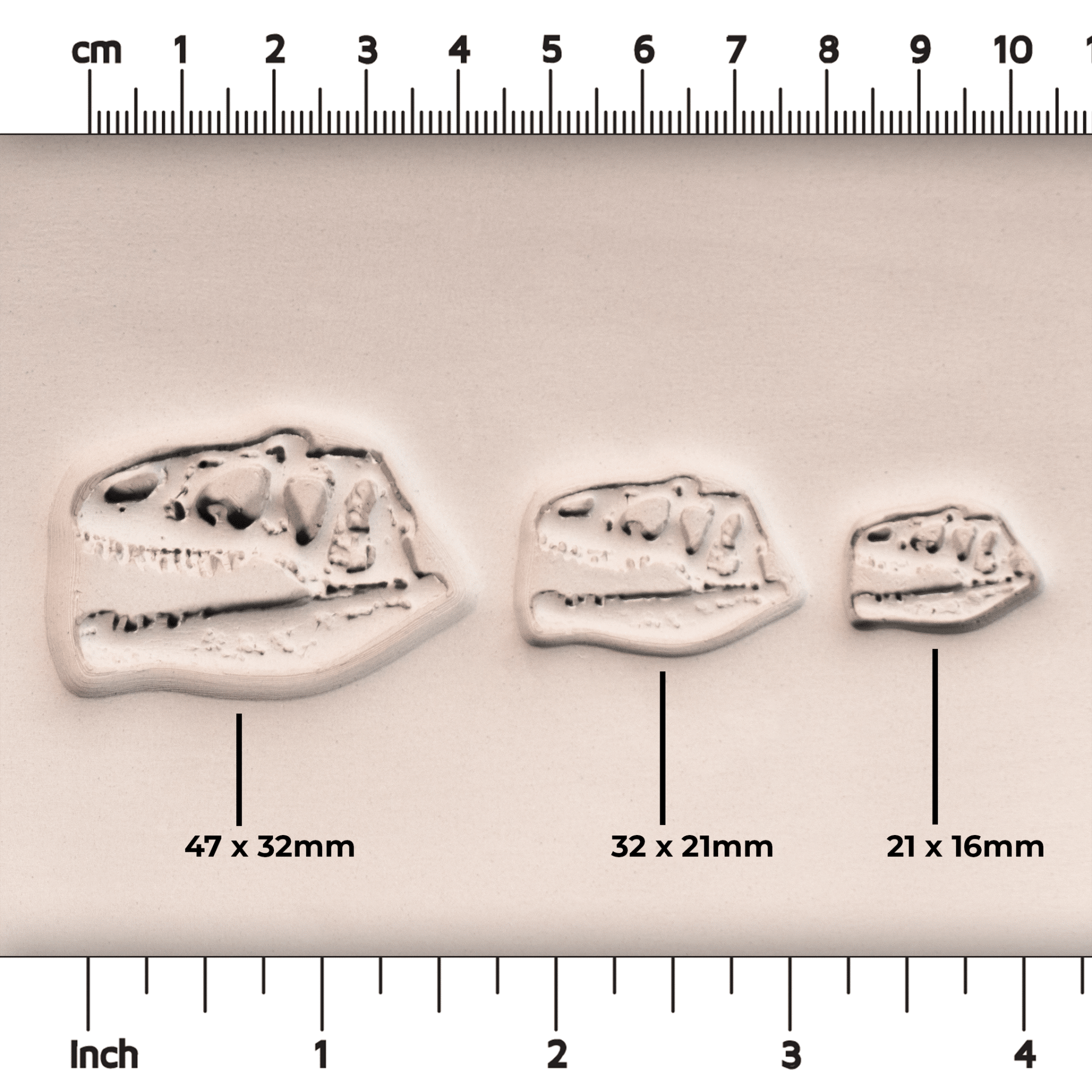 T - Rex Dinosaur Skull Fossil Stamp - Photo Textured - Style 1 - CraftSource Market: Craft Supplies & Kits Stamps