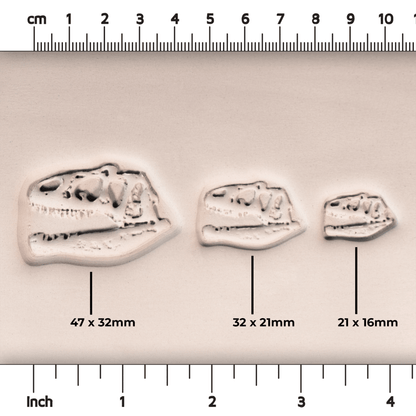 T - Rex Dinosaur Skull Fossil Stamp - Photo Textured - Style 1 - CraftSource Market: Craft Supplies & Kits Stamps