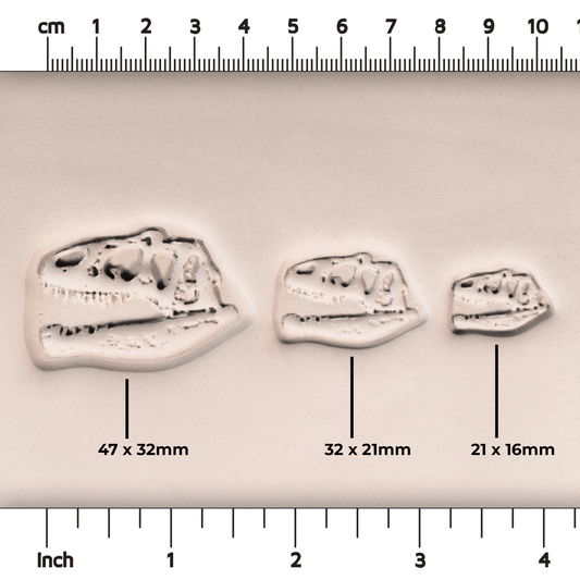 T - Rex Dinosaur Skull Fossil Stamp - Photo Textured - Style 1 - CraftSource Market: Craft Supplies & Kits Stamps