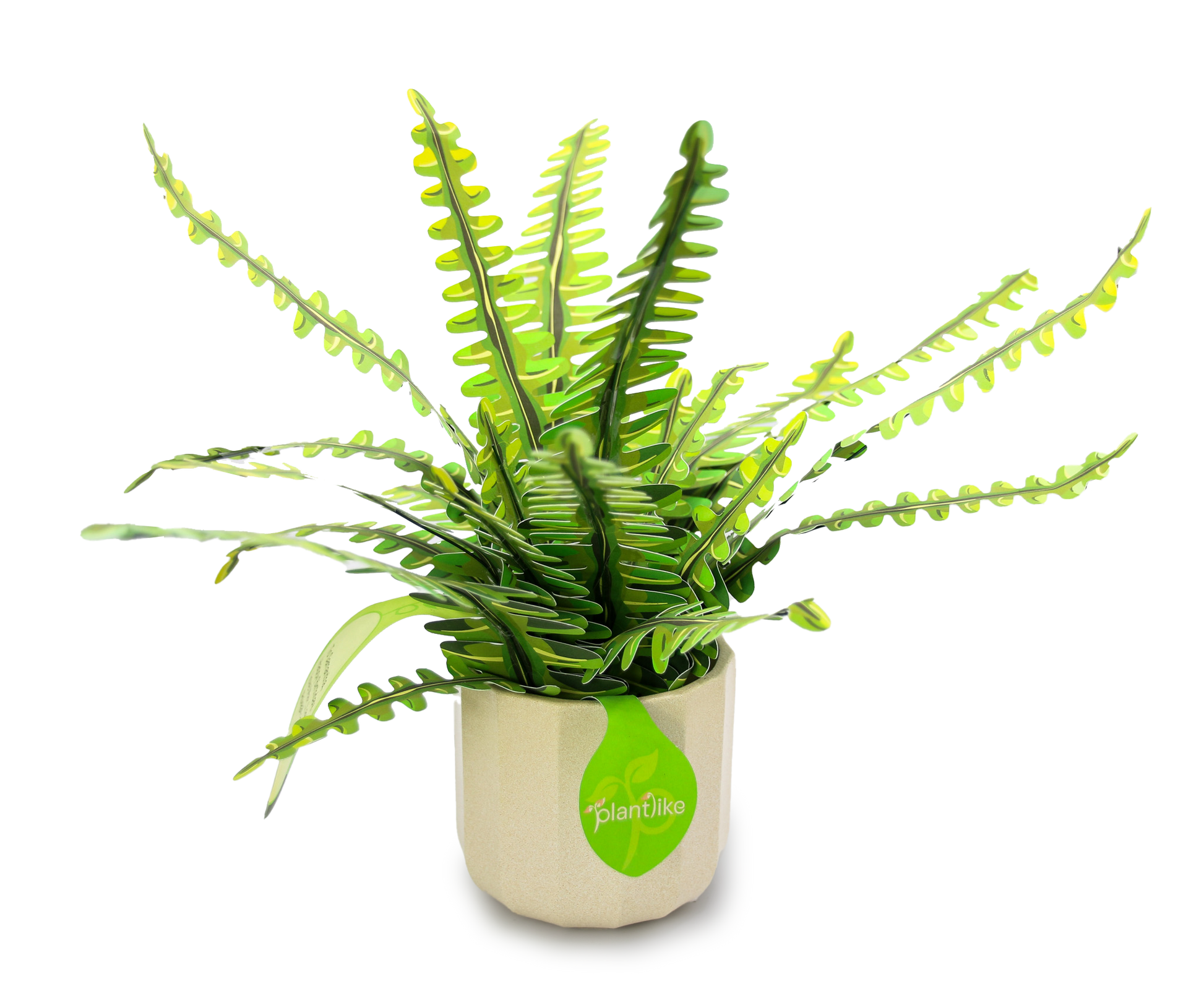 The Boston Fern Papercraft Plant Kit - CraftSource Market: Craft Supplies & Kits