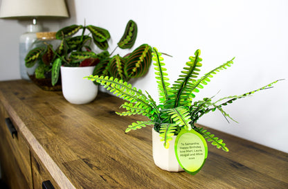 The Boston Fern Papercraft Plant Kit - CraftSource Market: Craft Supplies & Kits