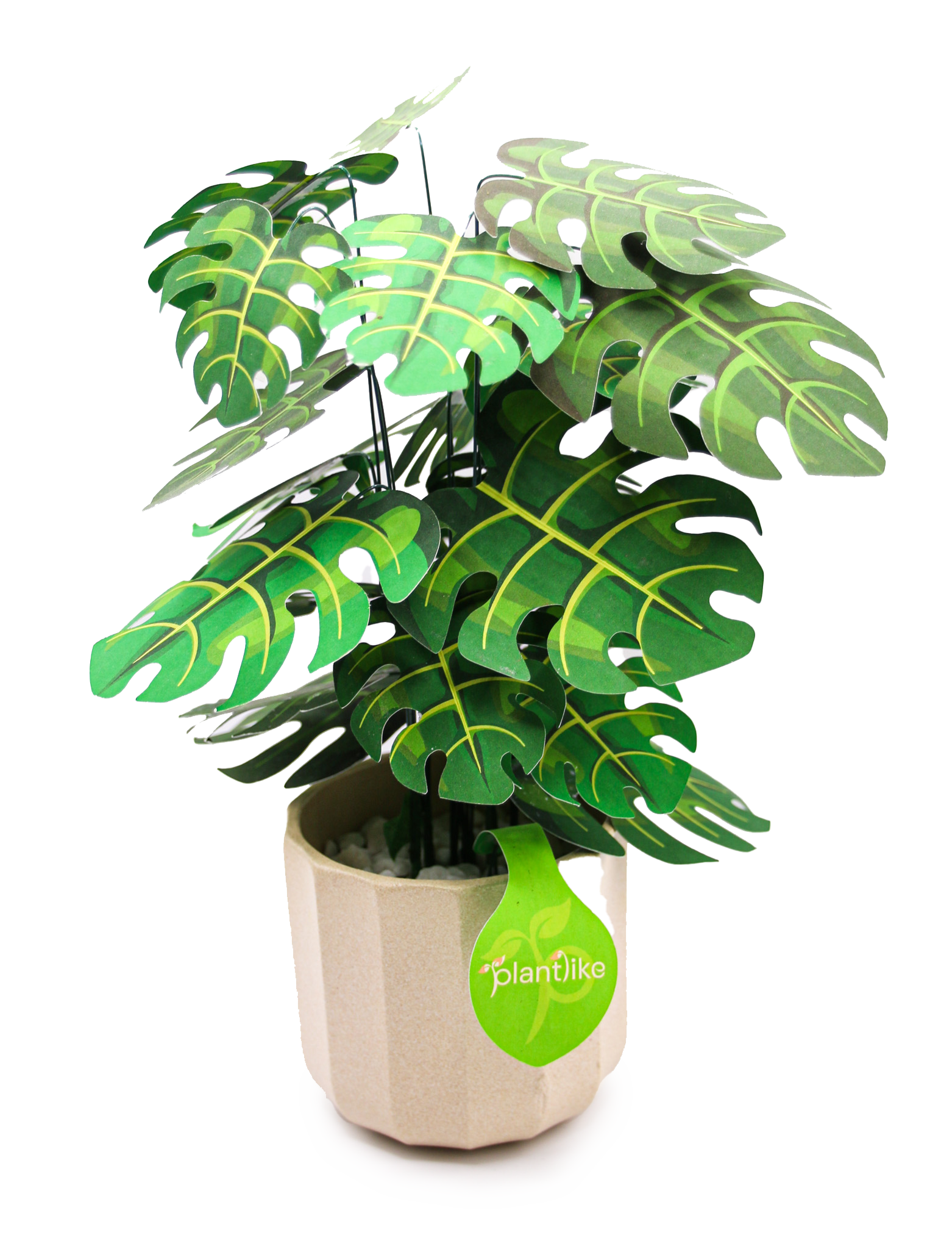 The Cheese Plant Papercraft Plant Kit - CraftSource Market: Craft Supplies & Kits