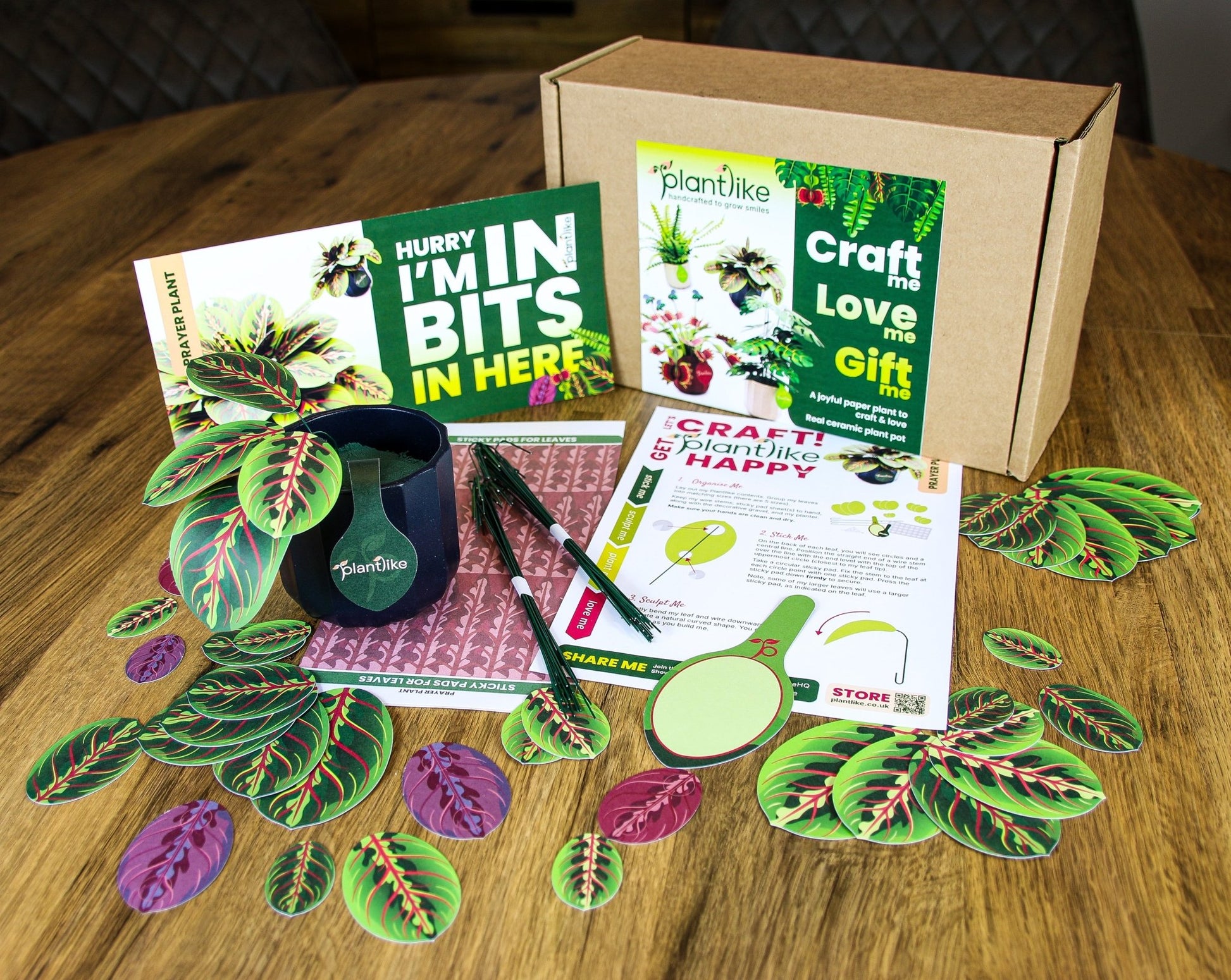 The Prayer Plant Papercraft Plant Kit - CraftSource Market: Craft Supplies & Kits