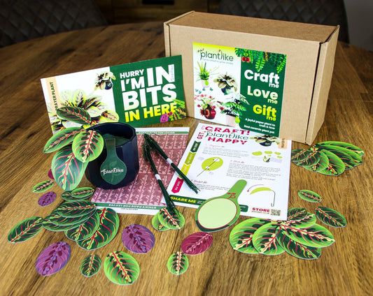 The Prayer Plant Papercraft Plant Kit - CraftSource Market: Craft Supplies & Kits