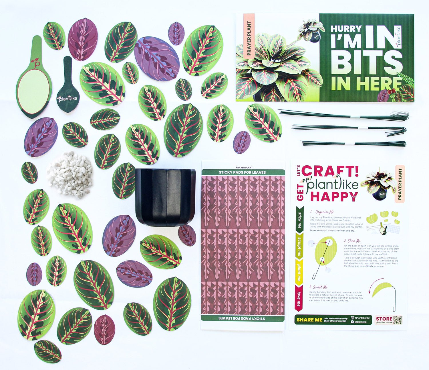 The Prayer Plant Papercraft Plant Kit - CraftSource Market: Craft Supplies & Kits