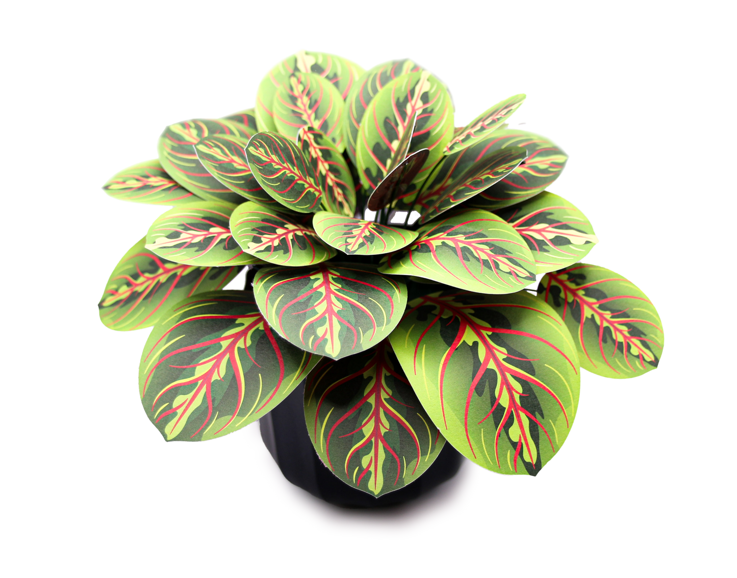 The Prayer Plant Papercraft Plant Kit