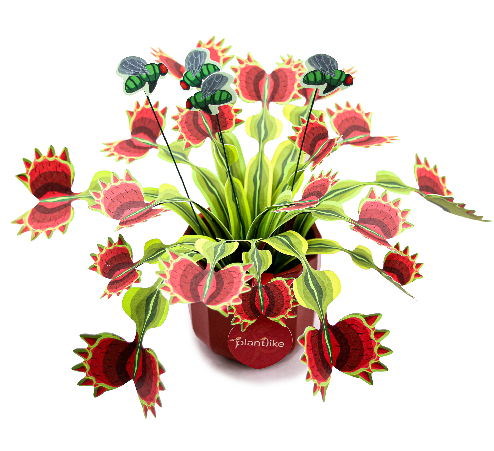 Venus Fly Trap Papercraft Plant Kit | CraftSource Market: Craft