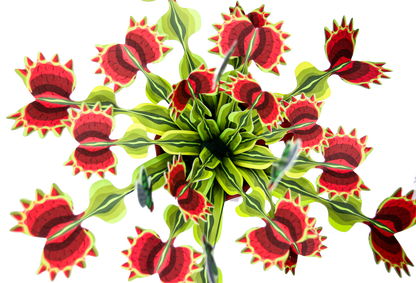 Venus Fly Trap Papercraft Plant Kit - CraftSource Market: Craft Supplies & Kits