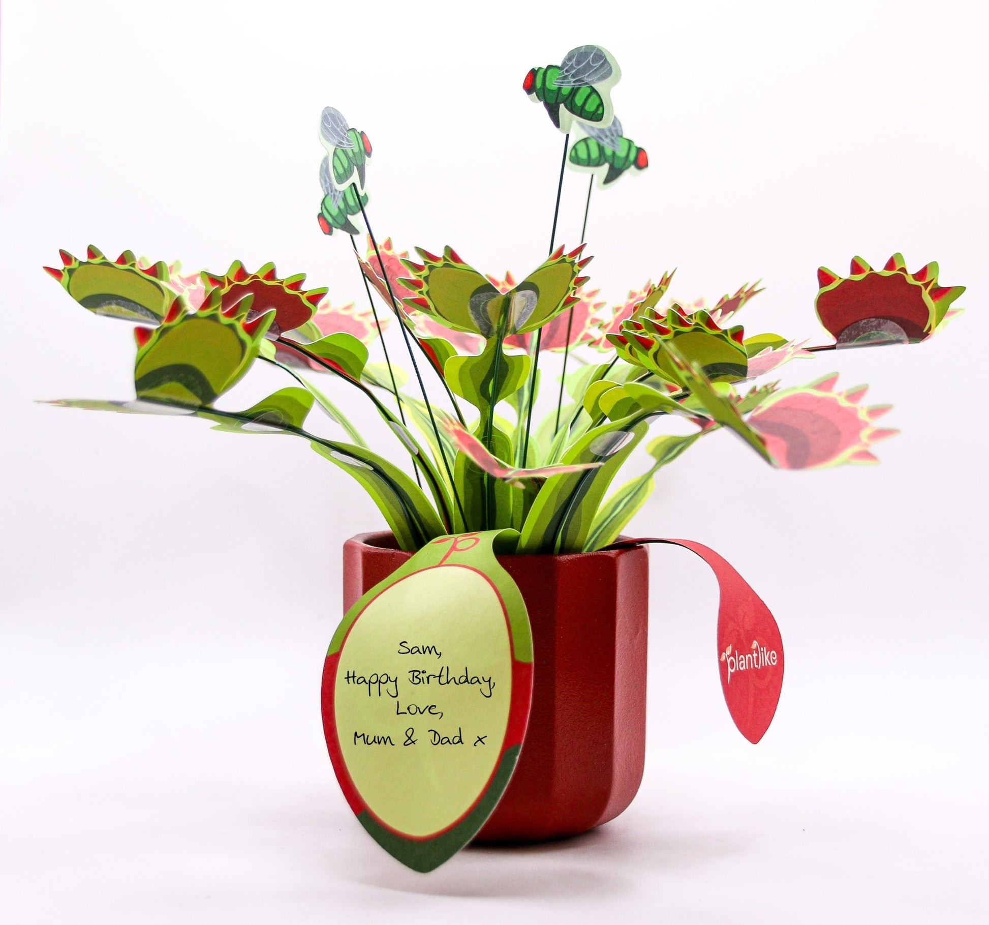 Venus Fly Trap Papercraft Plant Kit - CraftSource Market: Craft Supplies & Kits