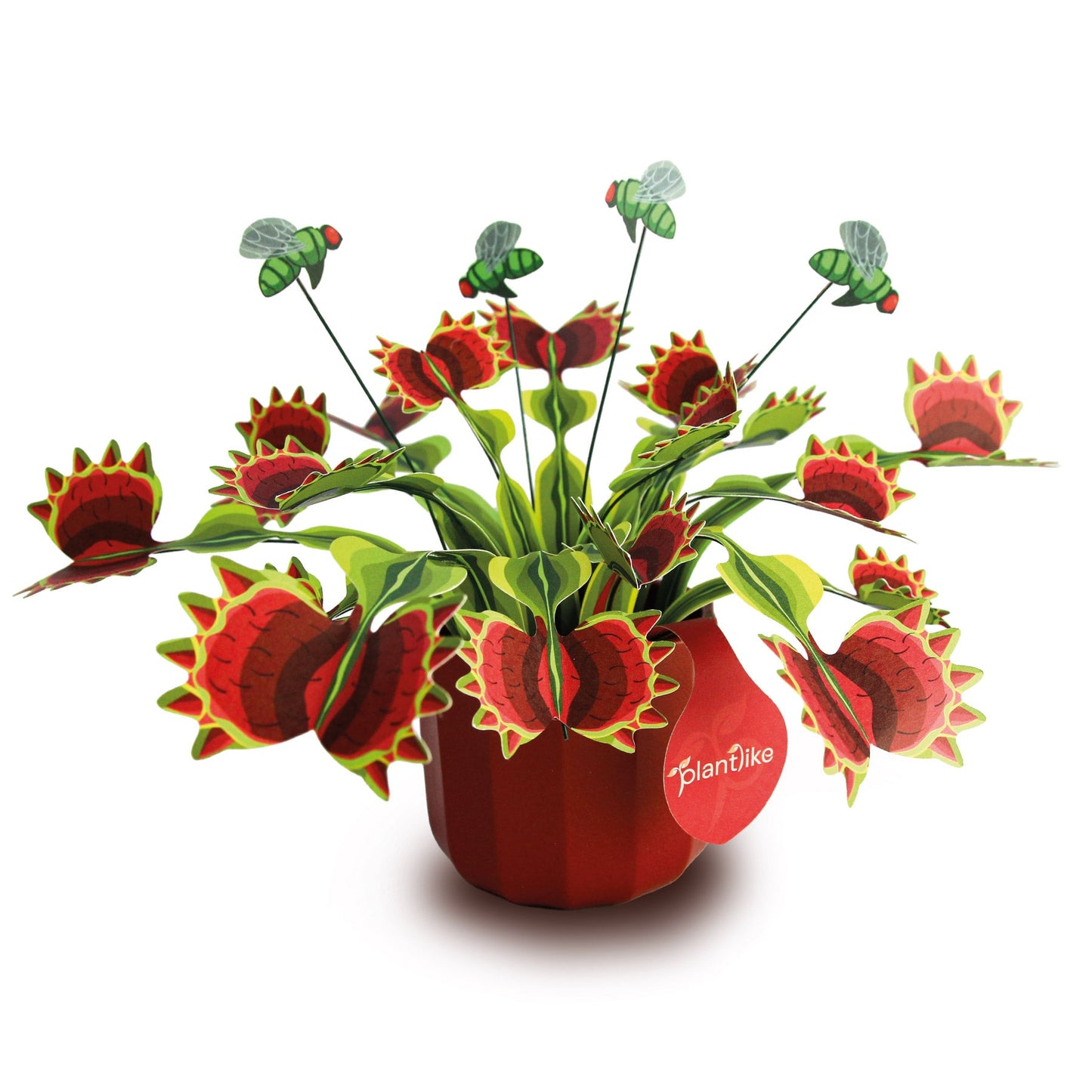 Venus Fly Trap Papercraft Plant Kit